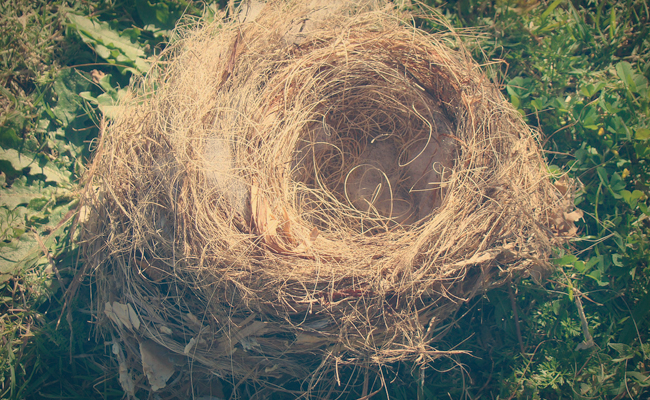 empty-nest