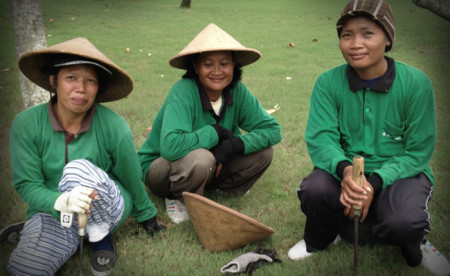 jogja